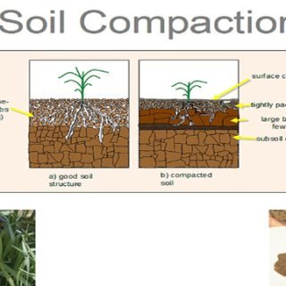 Soil Compaction