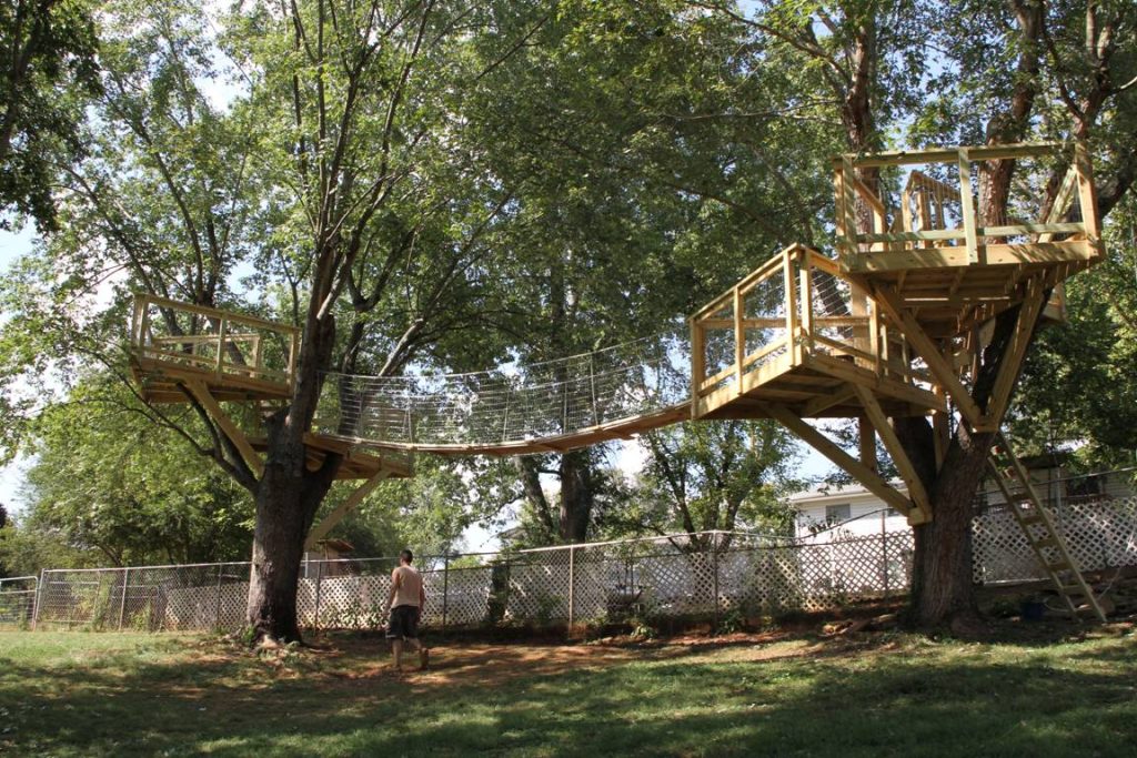 Open platform as tree house