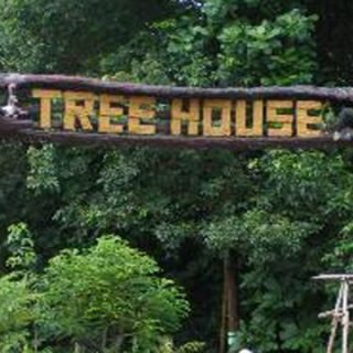 Tree House
