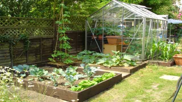 Backyard-kitchen-garden-ideas