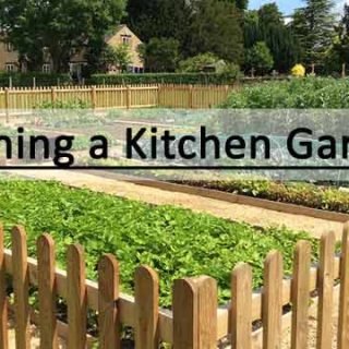 Planning a kitchen garden