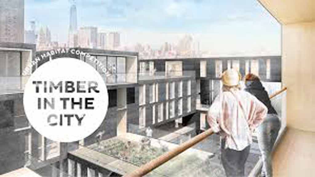 Timber in the City 2018-2019 international Competition