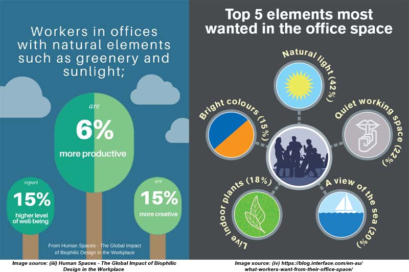 Biophilia Design 5 elements wanted in office space