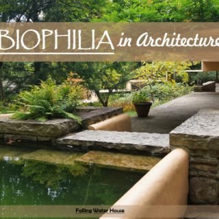Biophilia in Architecture