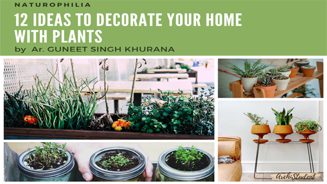 ideas to decorate your home with plants