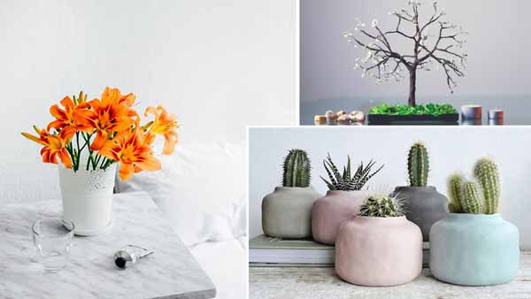 decorate you home with variation of plants on table